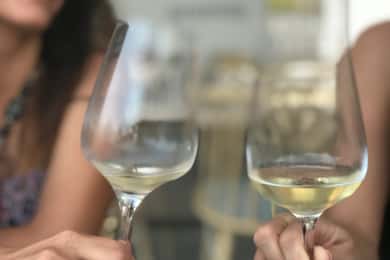 Santorini: Wine tasting in 3 Wineries and a Greek Meal group