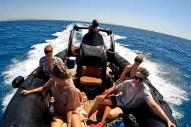 Hurghada: Motoscafo privato per la Casa dei Delfini con servizio di prelievo