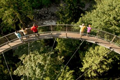 Vancouver: Small Group Tour w/Capilano & Grouse Mtn Lunch