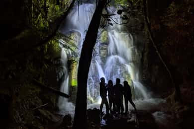 Rotorua: Nocturnal Glow-Worm Adventure Tour with a Guide