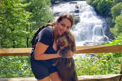 Asheville: Tour delle cascate con spuntini e nuotate