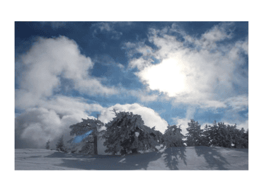 Ciaspolata nel Parco Nazionale del Pollino