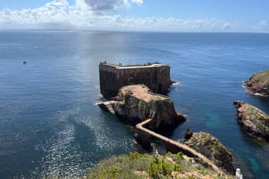 From Lisbon: Berlenga Grande Sightseeing Tour