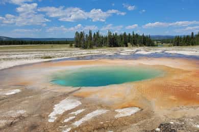 Yellowstone National Park Private Day Tour