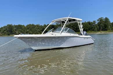Hilton Head: 2 timmars privat delfintur