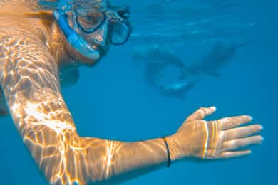 Wasini: Scenic Boat Trip with Breakfast, Lunch, & Snorkeling