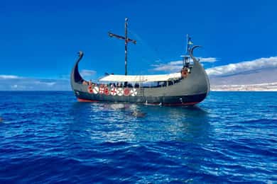 Los Cristianos: Wal- und Delfinbeobachtung auf einer Viking-Kreuzfahrt