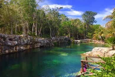 Tulum: Rondleiding door natuurpark Cenote Casa Tortuga en lunch