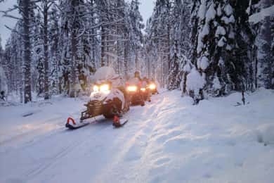 Kemi-Tornio: Schneemobil-Waldsafari mit Heißgetränk und Snacks