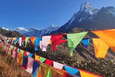 Mardi Himal Campo Base Yoga Trek 7 Días