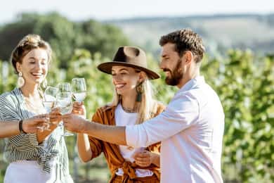 From Sydney: Luxury Hunter Valley Private Tour