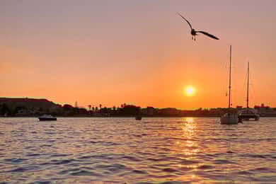Cagliari: Tour in barca al tramonto con aperitivo e Prosecco