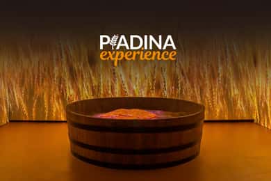 Входной билет в музей Piadina Experience