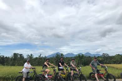 Ubud: Terraços de arroz e aldeias - excursão de meio dia em bicicleta eléctrica Fat Tire