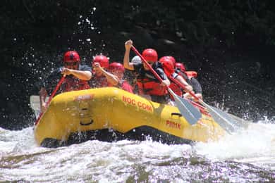 Da Hartford: tour di rafting sulle acque bianche dell'Upper Pigeon River