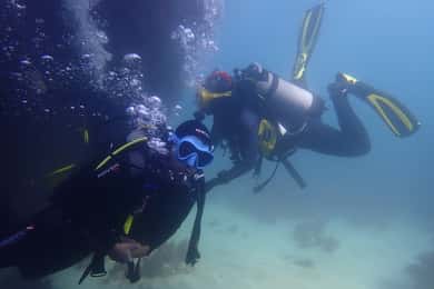 Lisbon: Try Dive in Arrábida Marine Reserve Setubal Sesimbra