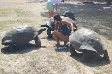 Curieuse Guided Tour, St Pierre, BBQ & 2 Snorkel Stops