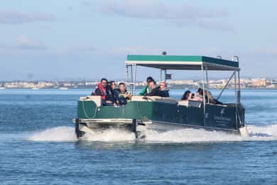 De Faro: 4 Paragens, 3 Ilhas na Ria Formosa Passeio de Catamaran