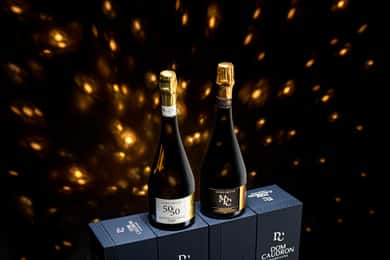 Expérience Prestige -Tour en français-Champagne Passy-Grigny
