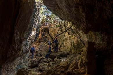 Lisbon: Adventure Circuit, Arrábida Park, Setubal, Sesimbra