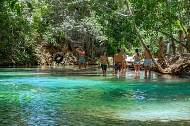 From Ocho Rios: Blue Hole & Dunn's River Falls Tour