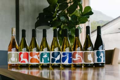 Ljubljana: Private Family-Owned Vineyard Wine Tasting Trip