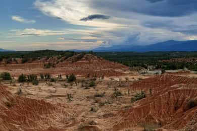 Neiva: Guided Day Trip to the Tatacoa Desert with Lunch