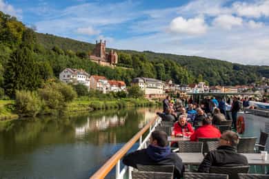 Heidelberg: Tour in barca sul fiume a Neckarsteinach con bevande