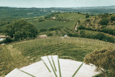 Skydeck - Picnic al tramonto