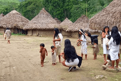 Palomino: Private Tour to Tungueka Indigenous Village