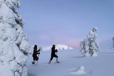 Levi: Snöskovandring i nationalparken Pallas-Yllästunturi