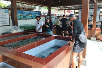 Sanur Dorp E-bike Tour: Gezinsvriendelijk avontuur