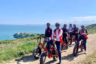 Dublin: Panoramic e-Bike Tour