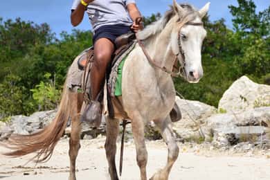 Punta Cana: Bávaro Adventure Park Horse Riding & Waterfalls