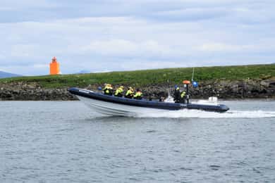 Reykjavik: Puffin Watching Tour by RIB Speedboat