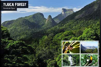 Rio de Janeiro: Tijuca Nemzeti Park EcoTour