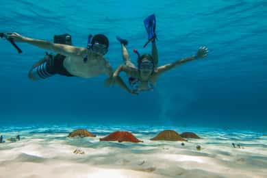 From Cozumel: Palancar, Columbia and El Cielo Reefs Snorkel