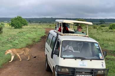 Nairobi national park Sunrise Game Drive