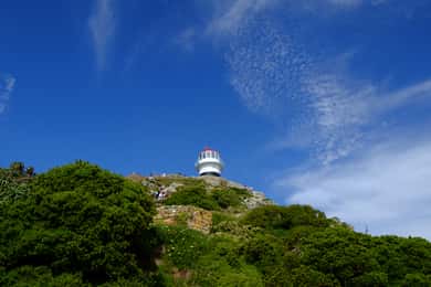 ケープタウン：半島、ペンギン、喜望峰の日帰りツアー