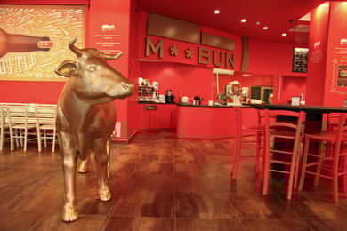 MBun Hamburger Shop og Åben Bus Torino