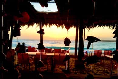 Boa Vista: Hummer-Mittagessen am Santa Monica Beach