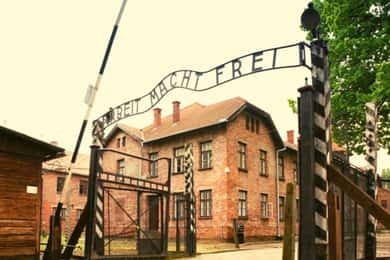 From Warsaw: Auschwitz Day Tour by Private Car with Lunch