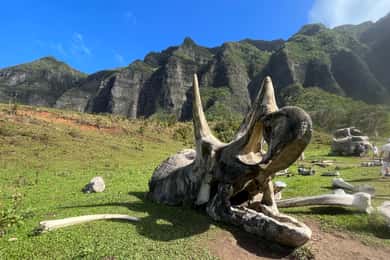 Oahu: Kualoa Movie Sites, Jungle, and Buffet Tour Package