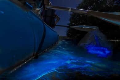 Cocoa Beach: Bioluminescent Paddle Raft Tour