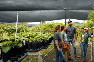 Oahu: Kualoa Ranch Malama Sustainability and Gardening Tour