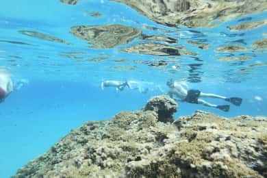 Malta: Snorkeling Tour