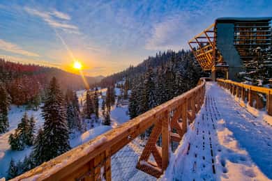 Cracovia: Zakopane, terme e passeggiata sugli alberi del Parco Gorce
