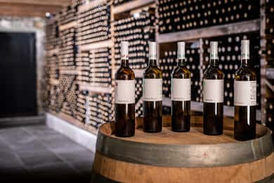 Ohrid: Rundvisning på klosterets vingård og vinsmagning