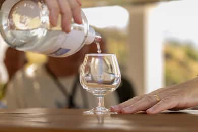 Wines of Rhodes: Traditional Wine Tasting in the vineyards