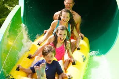 Dollywood's Splash Country Entry Ticket